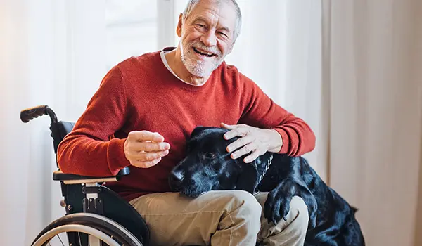 man in wheelchair with dog